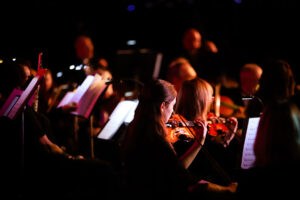 Photo of strings section for the Barton College / Wilson Symphony Orchestra